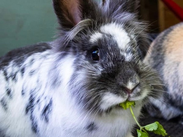 2025: A Round&nbsp;Up