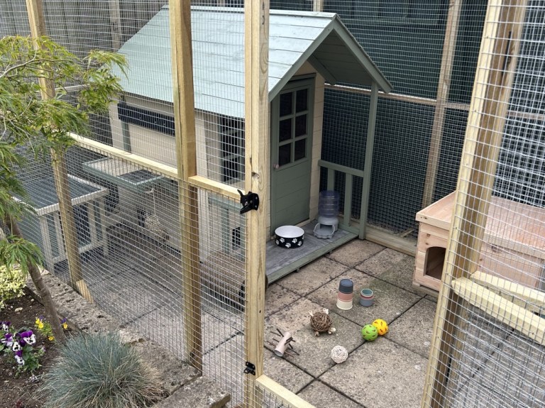 Outdoor Rabbits – The Rabbit Residence Rescue
