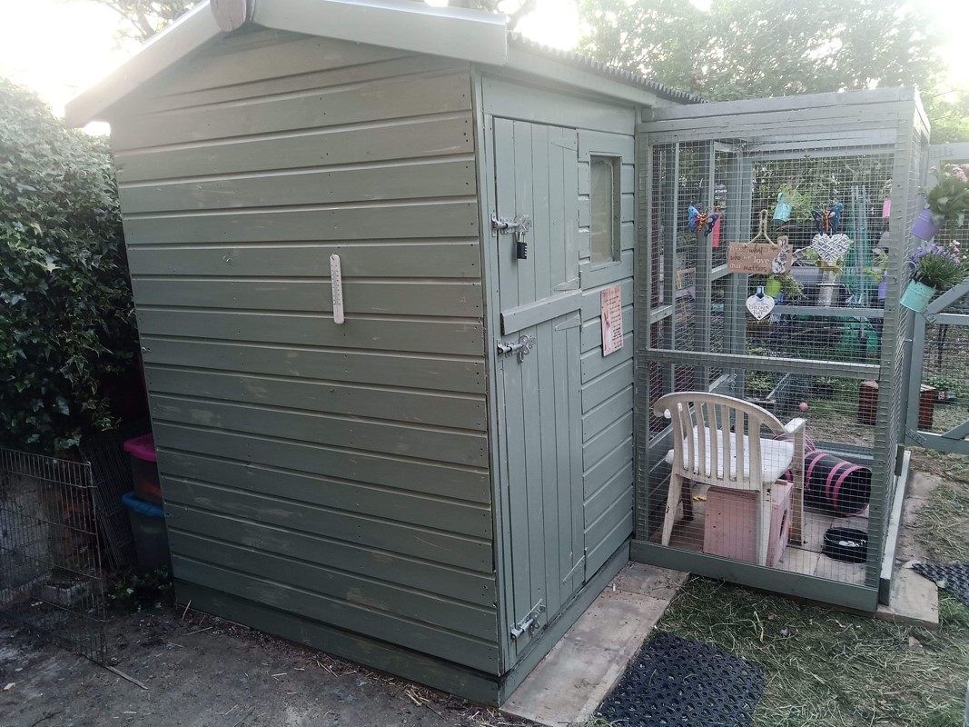 Outdoor Rabbits – The Rabbit Residence Rescue