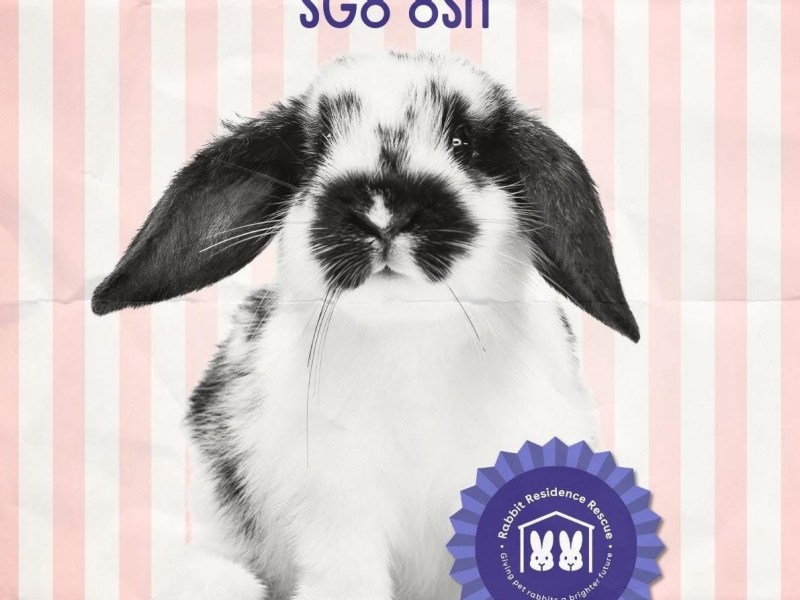 Join us at our Cake & Craft&nbsp;Fayre!